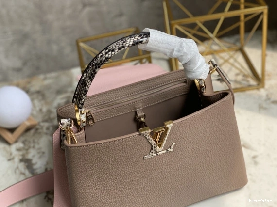 MM VUITTON CAPUCINES LOUIS 0810